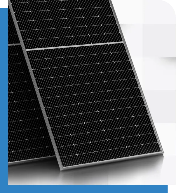 Consultation Illustration